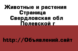  Животные и растения - Страница 10 . Свердловская обл.,Полевской г.